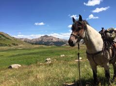 14045531_10154552963354180_4273412030550183689_n