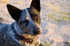 19702836_10155591904629180_1283856476337177800_o