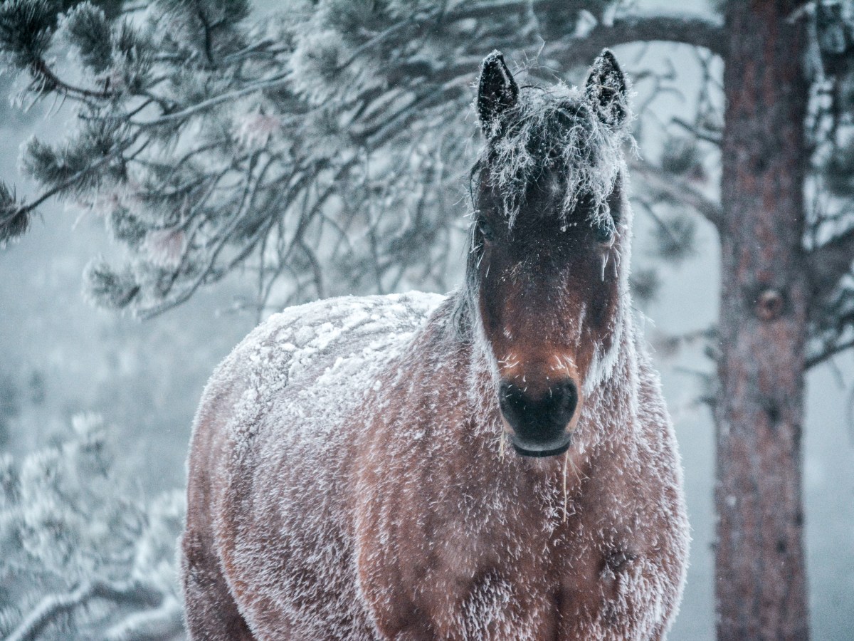 I Had My Dream Job for a Year and This is What I&nbsp;Learned